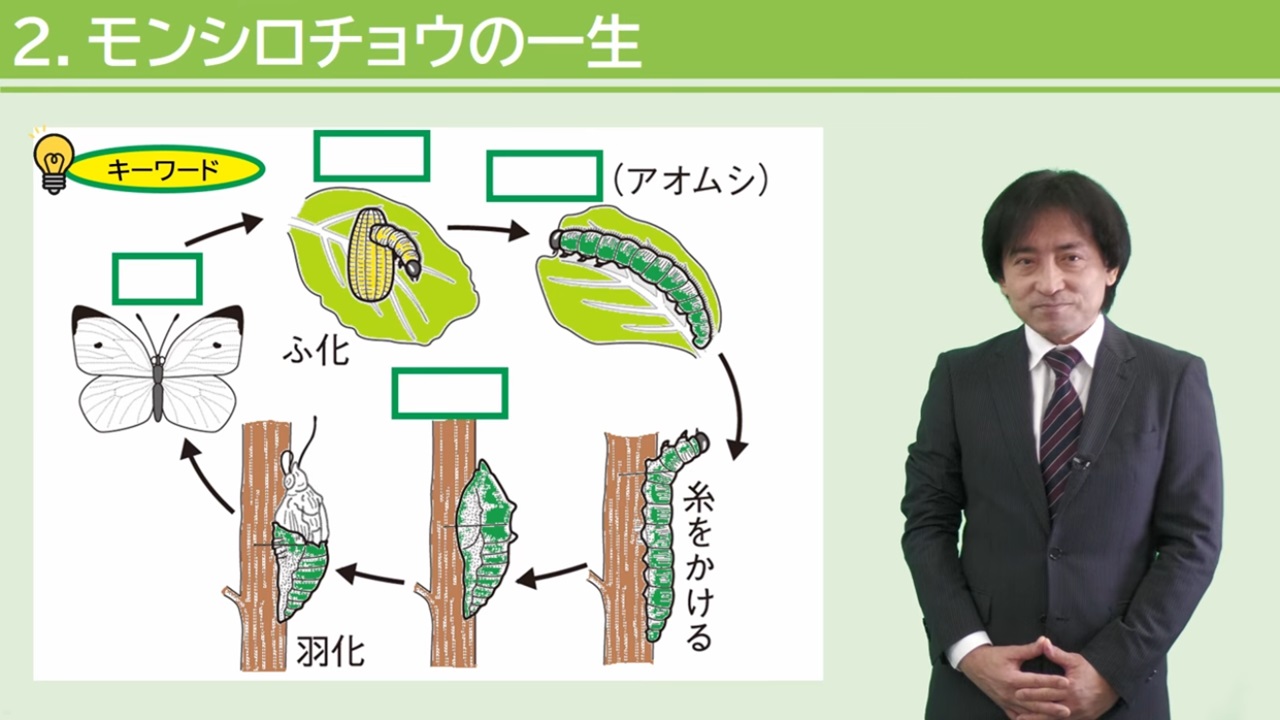 《映像講座》中学受験オンライン教材 理科